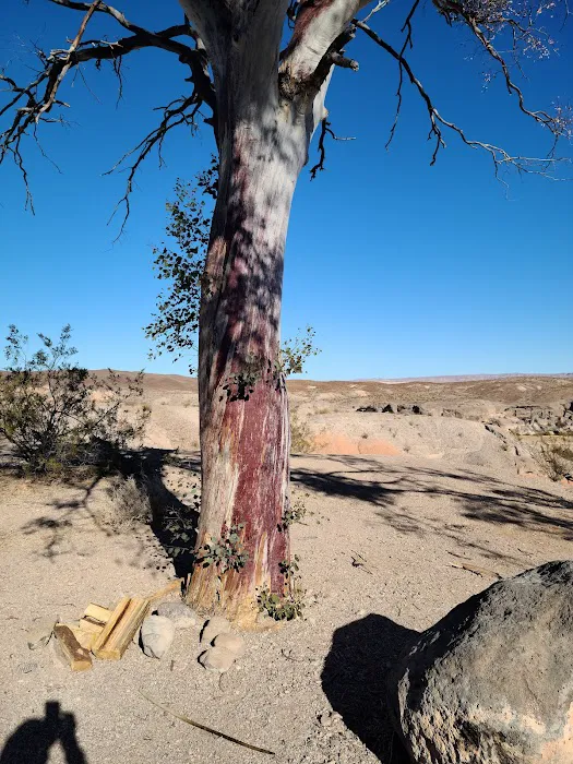 Las Vegas Bay Campground Picture 8