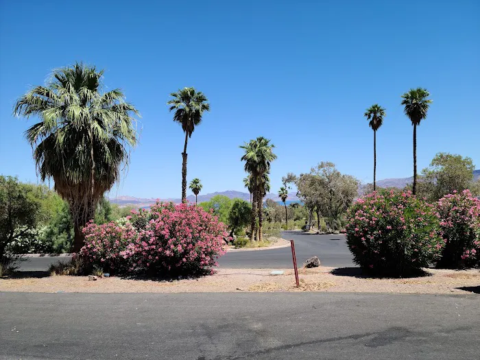 Boulder Beach Campground Picture 4