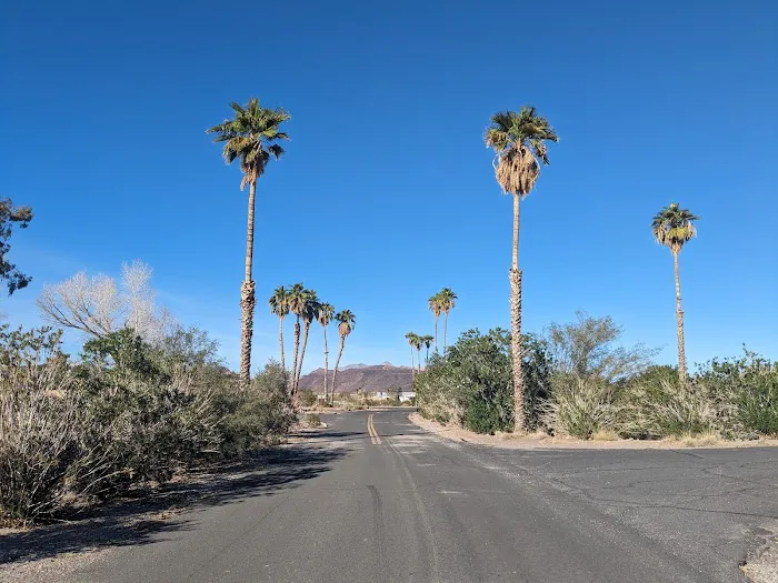 Callville Bay NPS Campground Picture 1