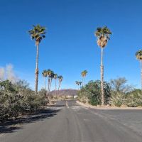 Callville Bay NPS Campground ico