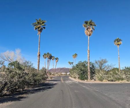 Callville Bay NPS Campground
