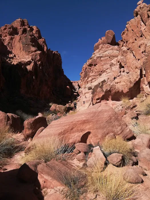 Callville Bay NPS Campground Picture 6