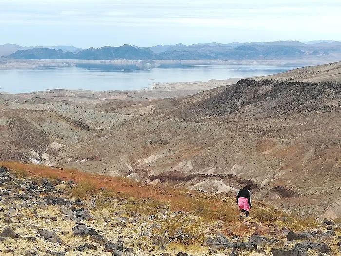 Callville Bay NPS Campground Picture 10