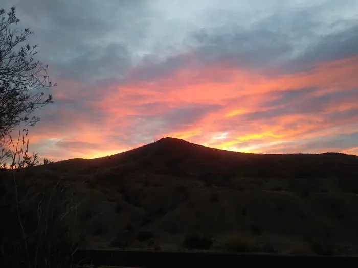 Callville Bay NPS Campground Picture 7