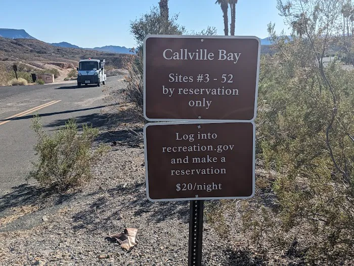 Callville Bay NPS Campground Picture 4