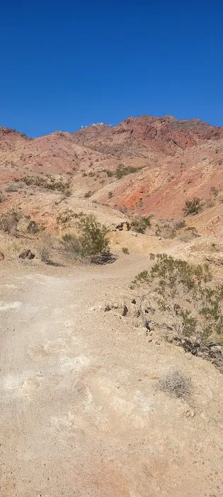 Boulder Oaks RV Resort Picture 2