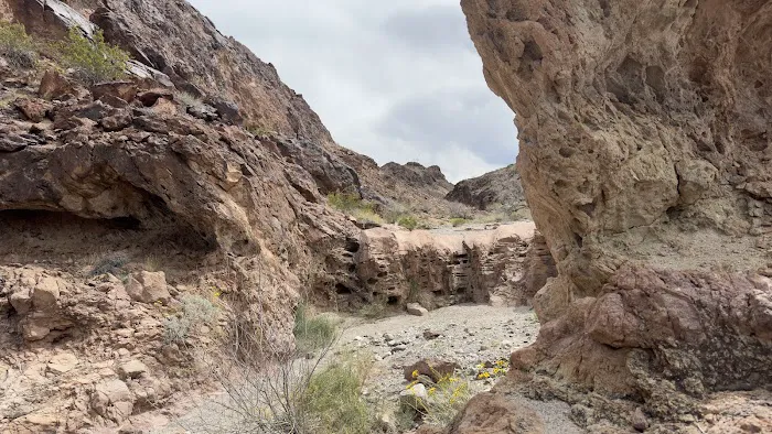 Willow Beach Campground & RV Park Picture 1