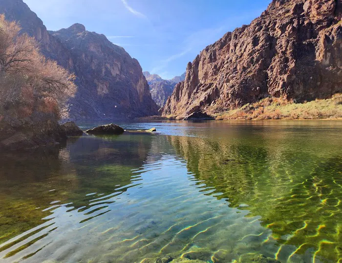 Willow Beach Campground & RV Park Picture 3