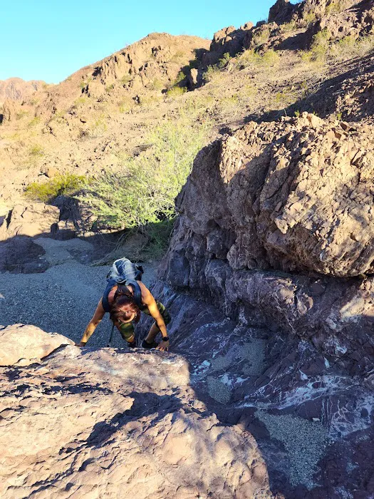 Willow Beach Campground & RV Park Picture 10