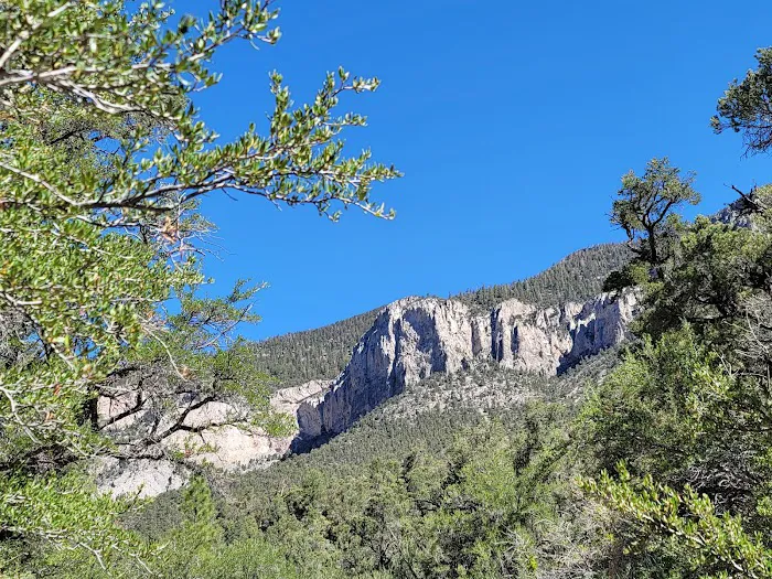 Fletcher View Campground Picture 1