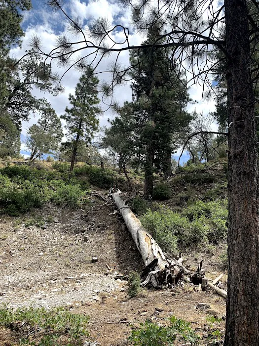 Fletcher View Campground Picture 3