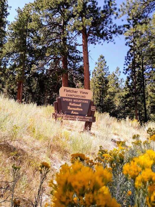 Fletcher View Campground Picture 6