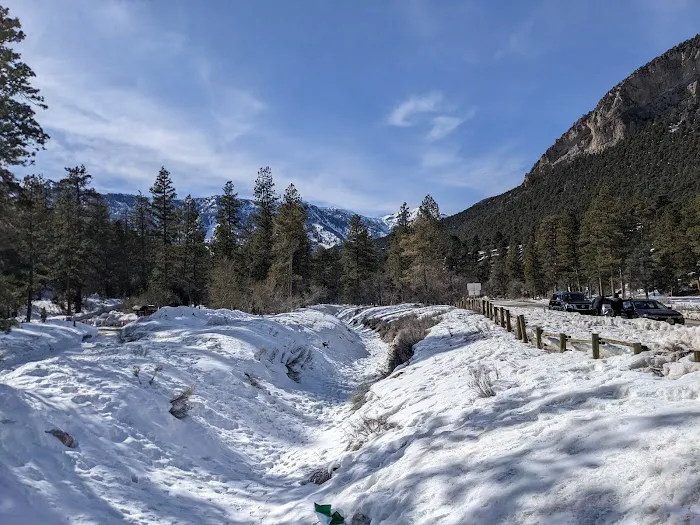 Fletcher View Campground Picture 7