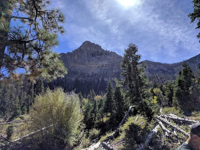 Hilltop Campground Picture 4