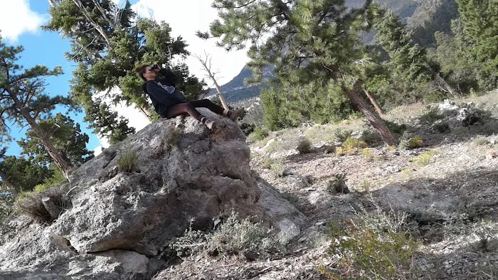 Hilltop Campground Picture 7