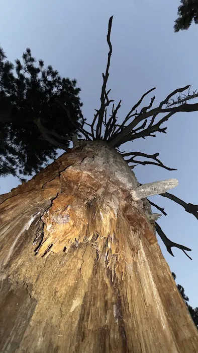 Hilltop Campground Picture 1