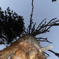 Hilltop Campground ico