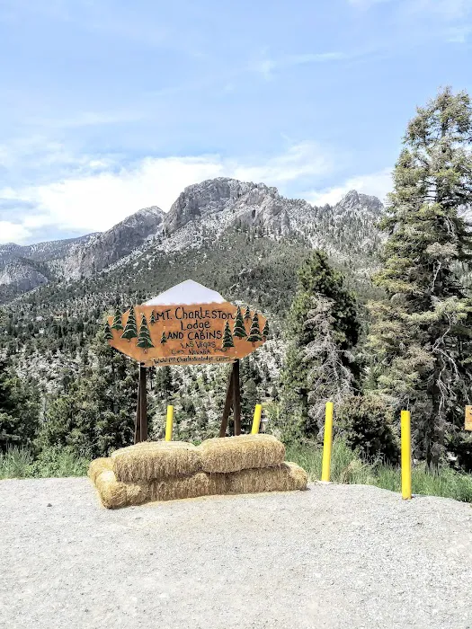 Hilltop Campground Picture 10