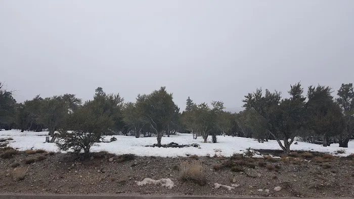 Camp J. C. Stimson Picture 7