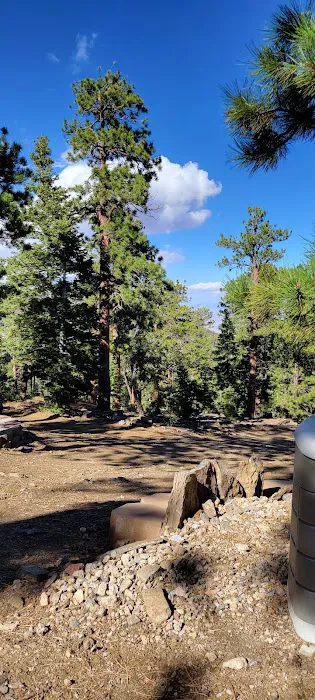 Camp J. C. Stimson Picture 4