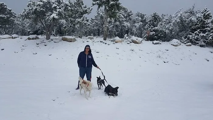 Camp J. C. Stimson Picture 3