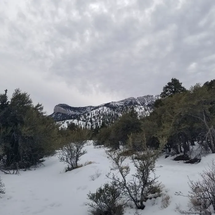 Camp J. C. Stimson Picture 10