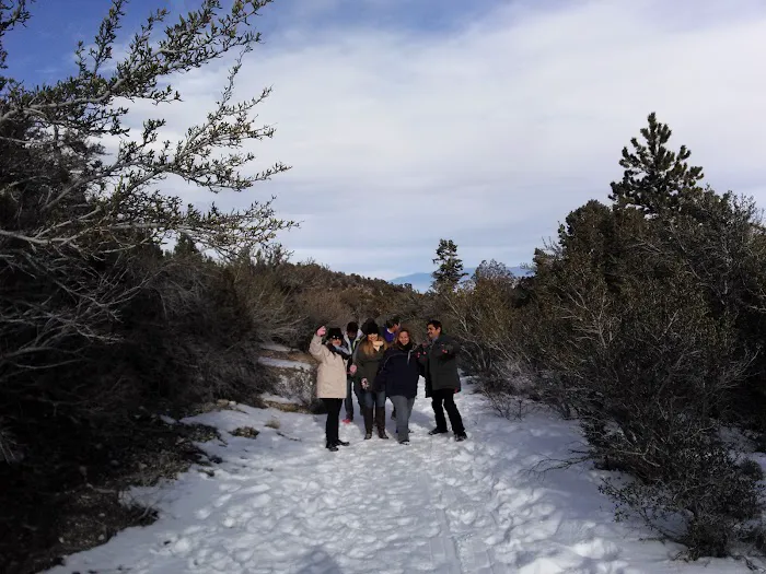 Camp J. C. Stimson Picture 8