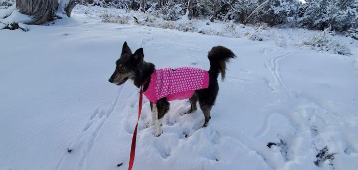 Camp J. C. Stimson Picture 9