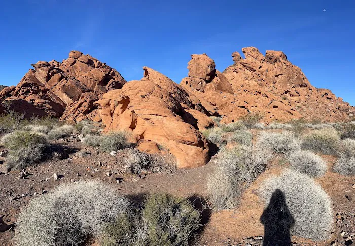 Echo Bay Upper Campground Picture 1