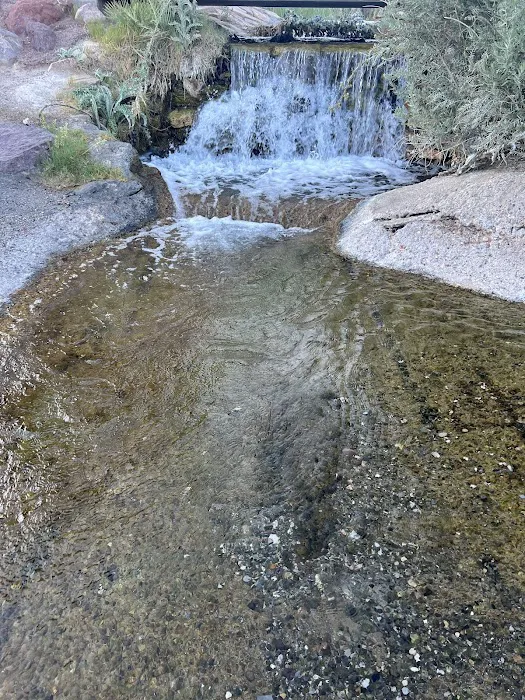 Echo Bay Lower Campground Picture 2