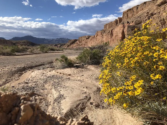 Echo Bay Lower Campground Picture 4