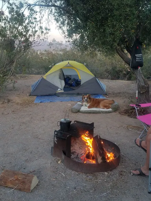 Echo Bay Lower Campground Picture 9