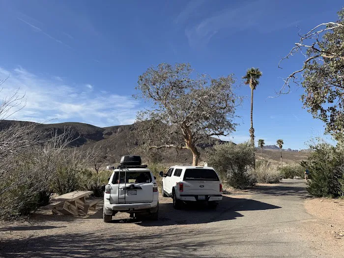 Echo Bay Lower Campground Picture 7