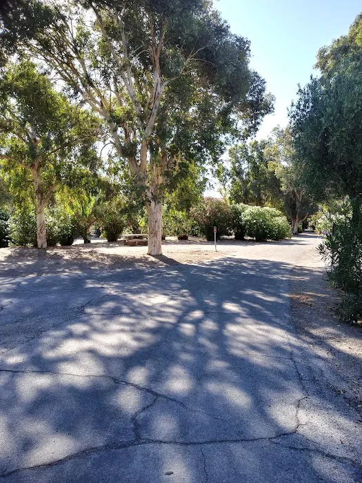 Atlatl Campground Picture 8