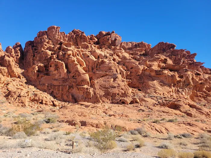 Mathews Bluff Picture 3