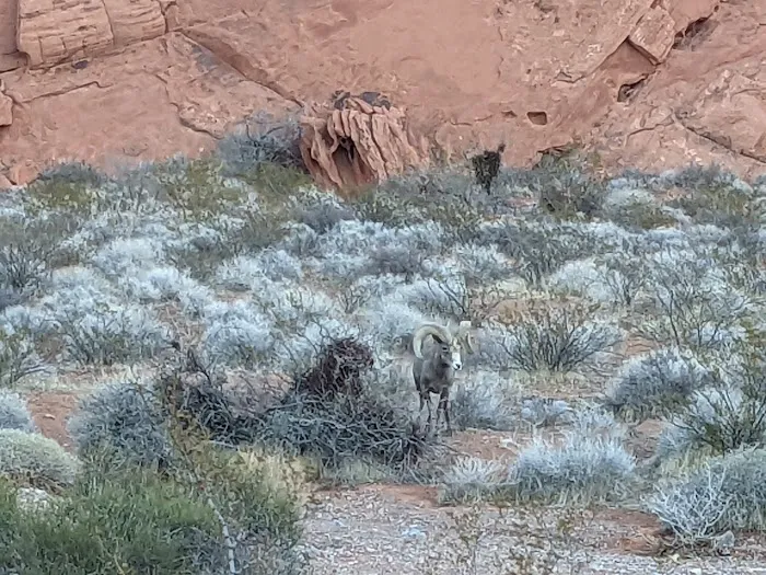 Mathews Bluff Picture 6