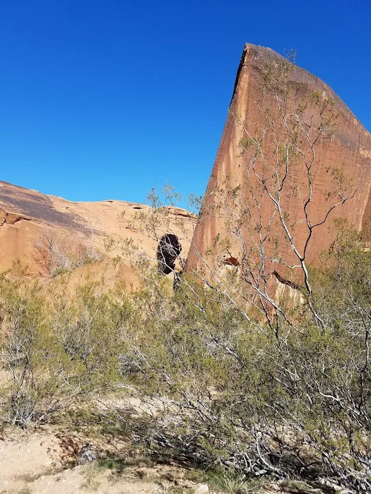 Mathews Bluff Picture 4