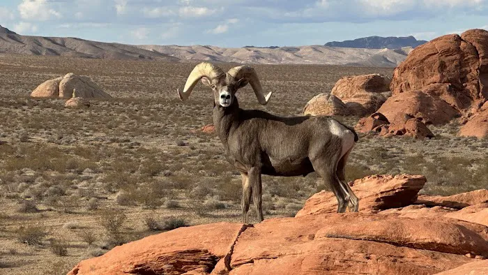 Mathews Bluff Picture 5