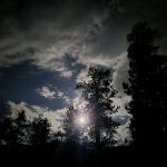 Wheeler Pass Campground