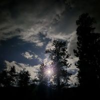 Wheeler Pass Campground ico