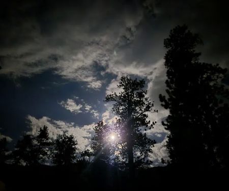 Wheeler Pass Campground