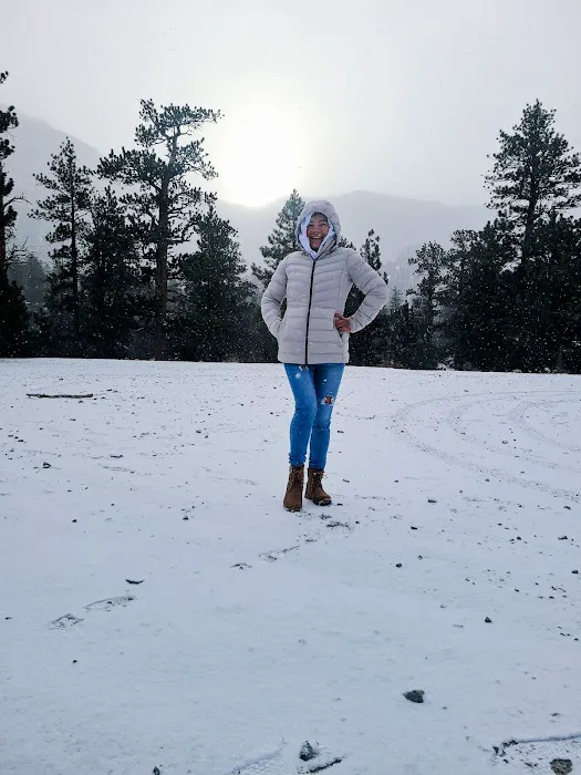 Wheeler Pass Campground Picture 6