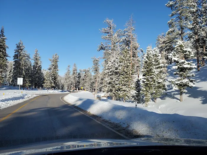 Wheeler Pass Campground Picture 7