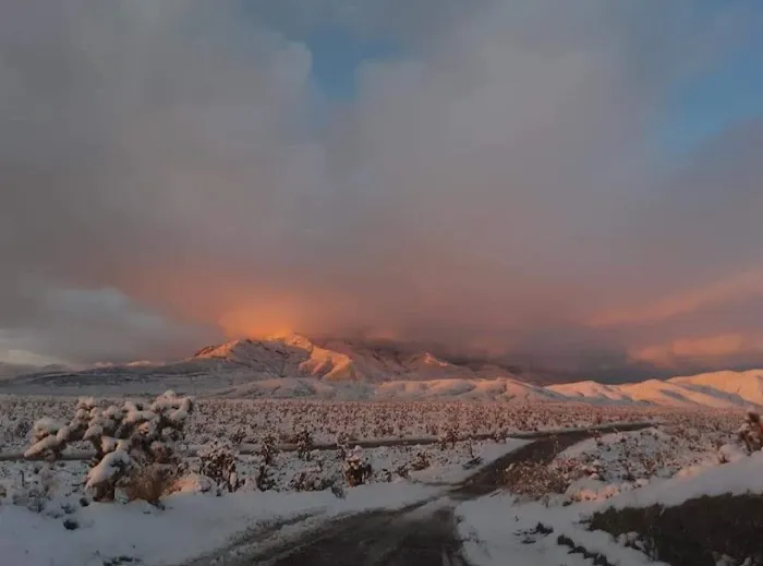 Wheeler Pass Campground Picture 10