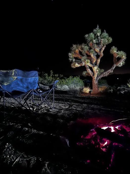 The Peach Patch Picture 2