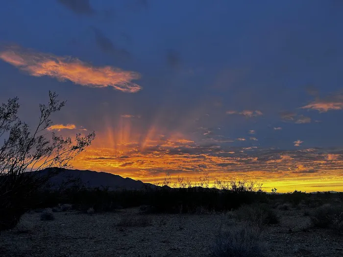 The Peach Patch Picture 3