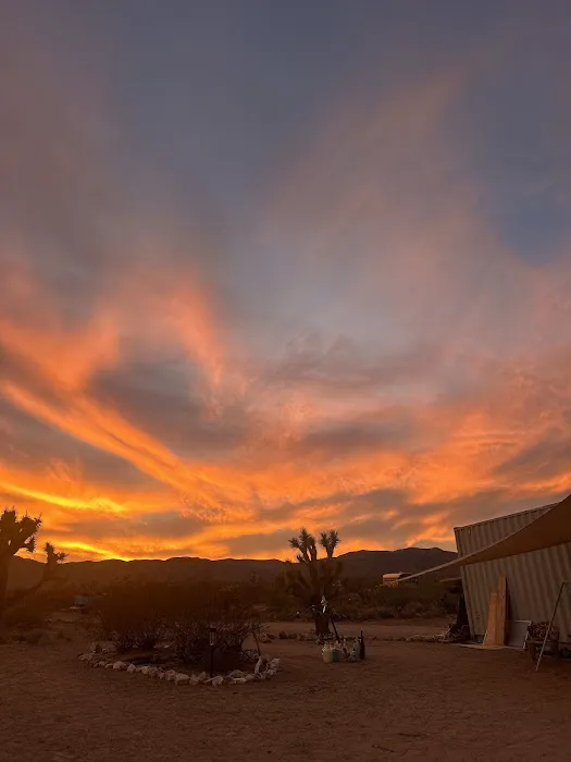 The Peach Patch Picture 7