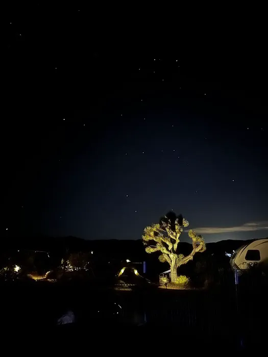 The Peach Patch Picture 5