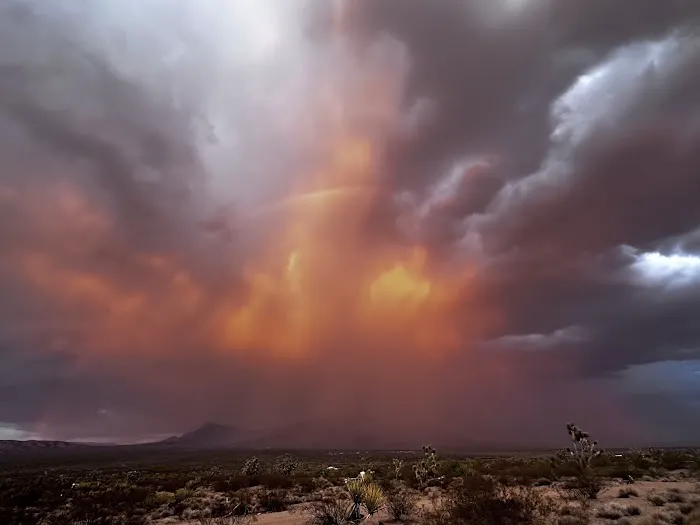 The Peach Patch Picture 4