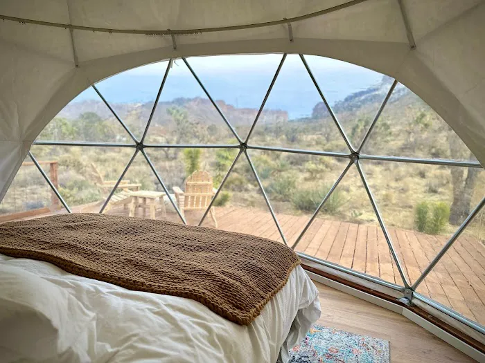 Jackalope Crossing Picture 5